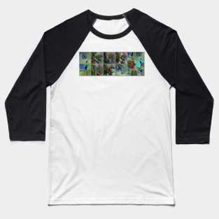 Butterflies and bottlebrush Baseball T-Shirt